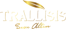 Trallisis-Logo230px